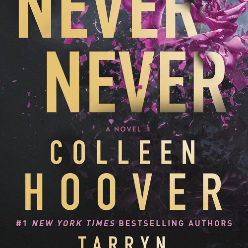Never Never : A twisty, angsty romance