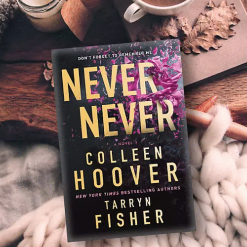 Never Never : A twisty, angsty romance