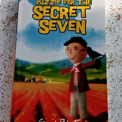 Puzzle for the Secret Seven