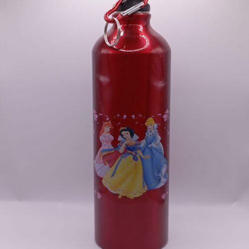 Cinderella-Steel Water Bottle