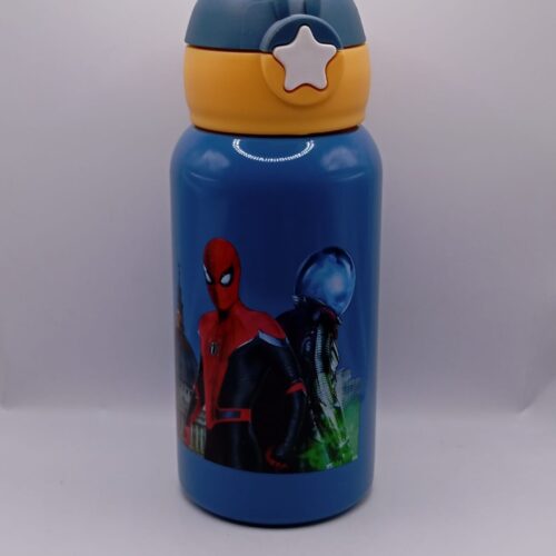 Spiderman Water Bottle